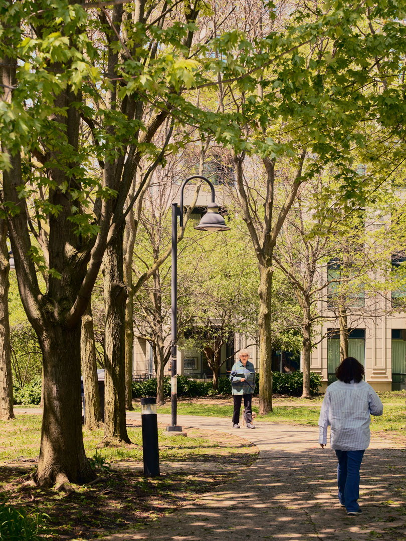 Green space in the Summerhill neighbourhood
