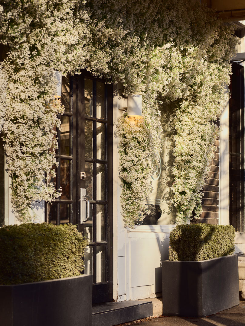 Tree-lined Summerhill street